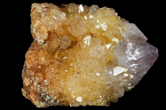 Sunshine Cactus Quartz Crystal - South Africa #115143